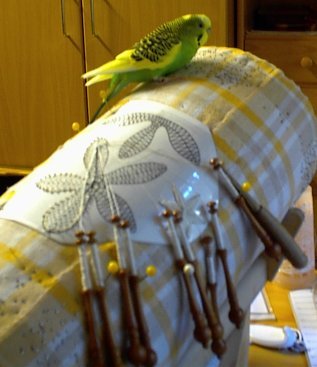 Tweety hilft beim klöppeln